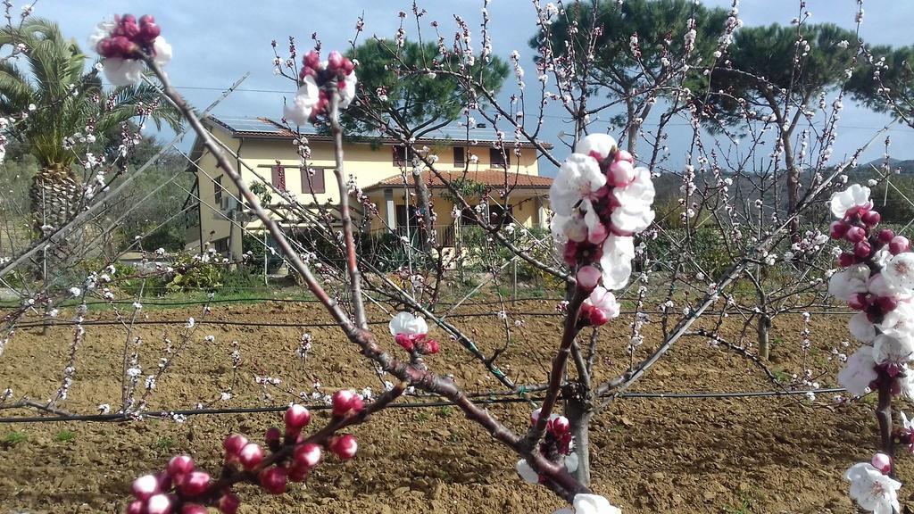 Agriturismo Val Di Nappo Castiglione della Pescaia Eksteriør billede